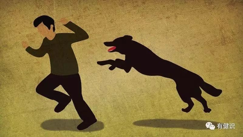 世界上杀死人最多的动物是啥?它催生的医药市场有多大