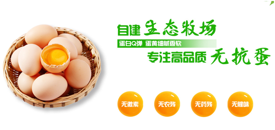 业精于专柳江牧业匠心打造安全高品质鸡蛋