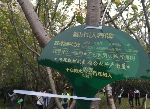 这位党员解放公园认养了桂花树:以后经常带孩子来看