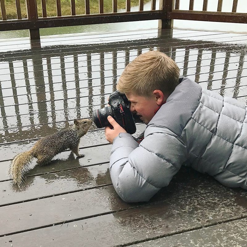 年輕的野生動物攝影師robertirwin