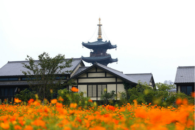 航拍无锡拈花湾享传世禅意之旅