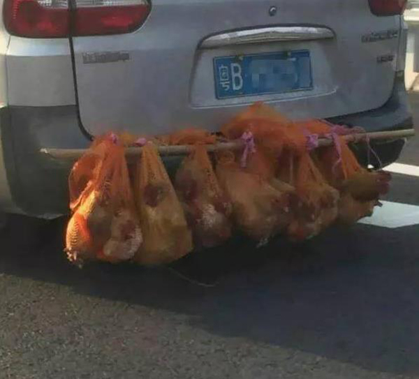 "涡轮增鸭"又上高速,交警:最高可罚200元