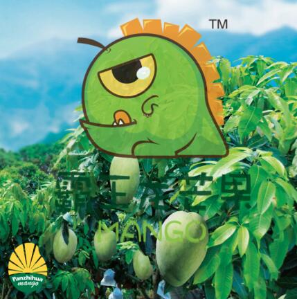 盐边县霸王龙芒果一家人的味道