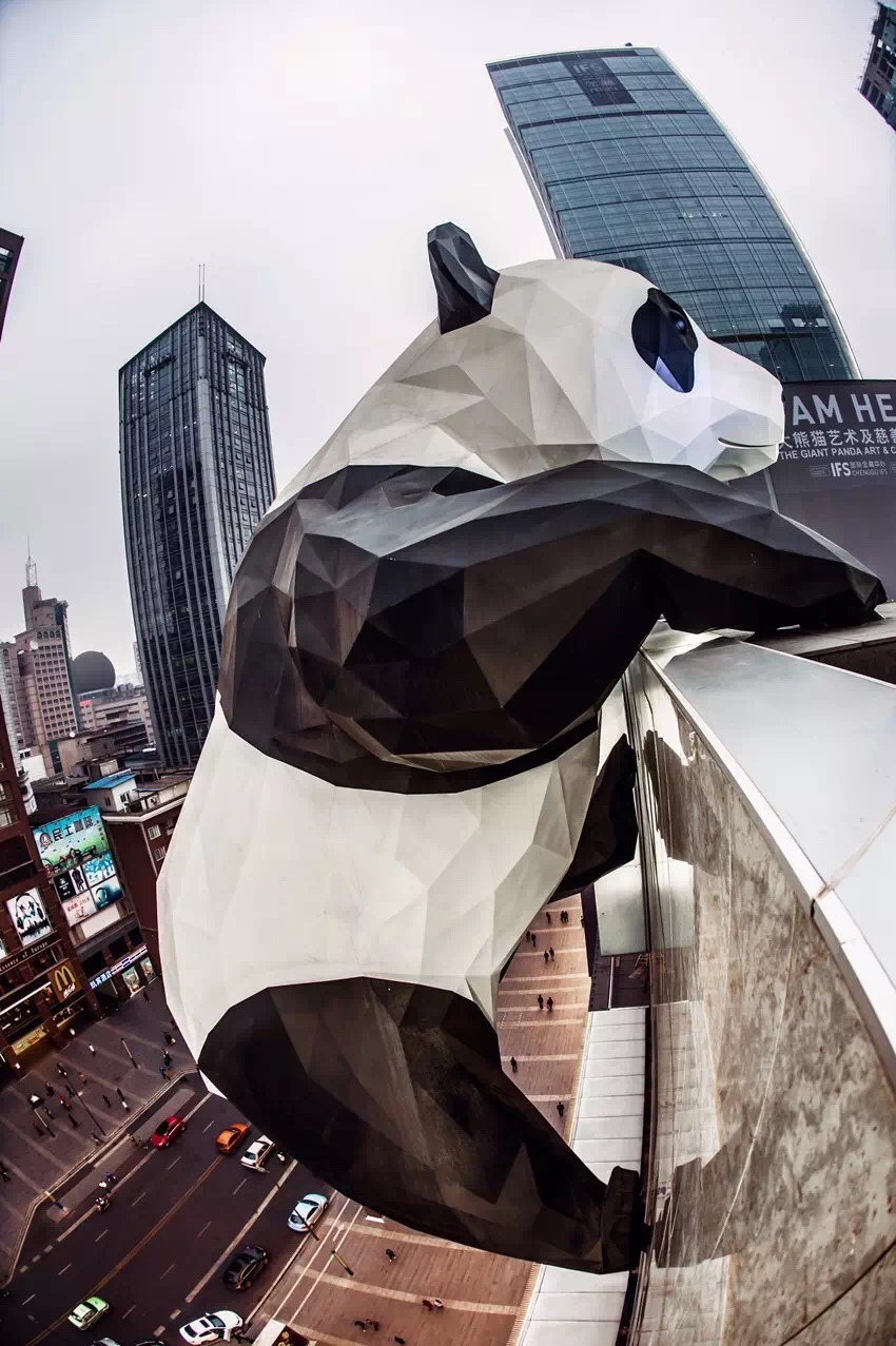 我们成都人会更爱你.不怕,ifs那只熊猫儿没有爸爸了