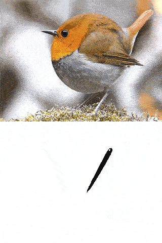 320_480竖版 竖屏gif 动态图 动图