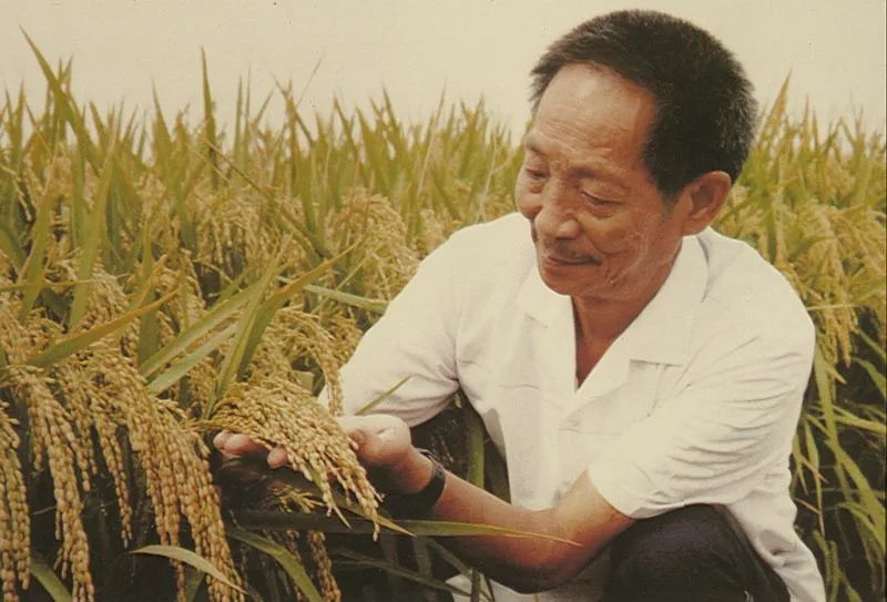 "这是袁隆平说过的一句广为流传的话,也是他真实的生活写照.