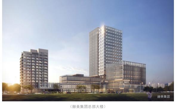 赫美集团(002356)涨停事件分析及信息局限性说明