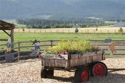 常在德克萨斯的外祖父家农场度过假期,他能帮助外祖父安装风车,使用弧