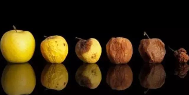 大家应该都知道,氧化是人 " 永葆青春 " 的最大威胁.