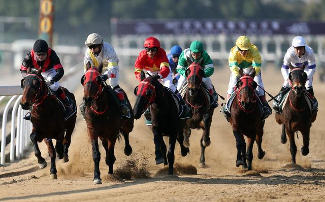 武汉国际赛马节明开幕这些地方可领门票