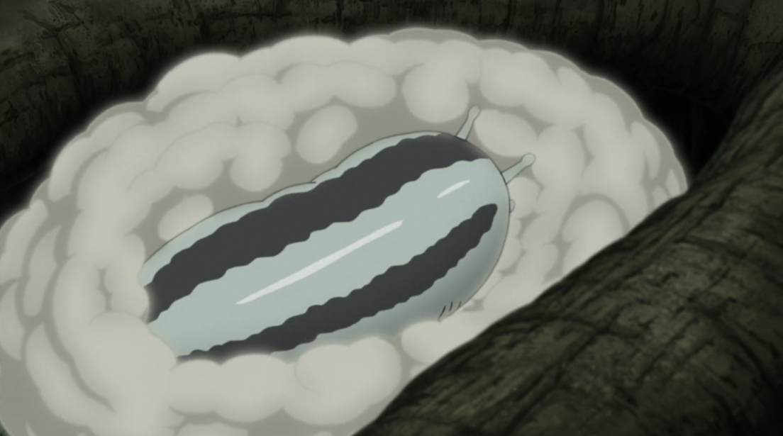 火影三大修仙圣地,最强是龙地洞?