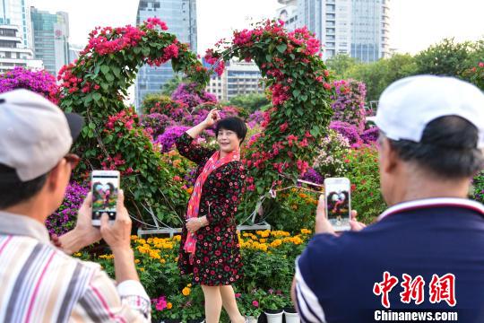不同创意的三角梅造型吸引市民驻足 王以照 摄