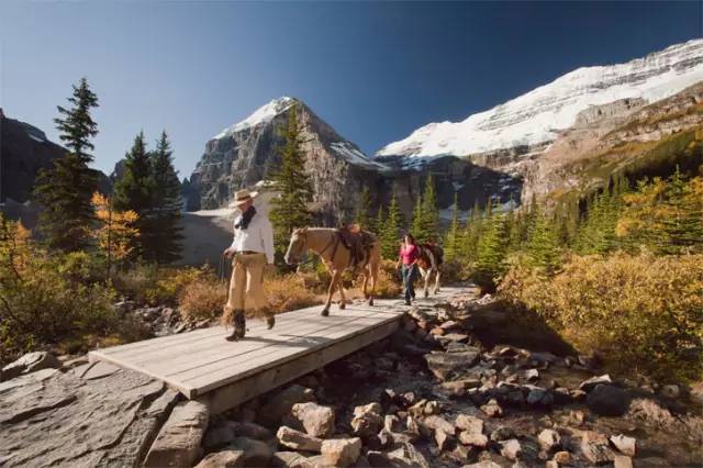 骑马 骑马在班夫是一项历史悠久的户外旅游项目.