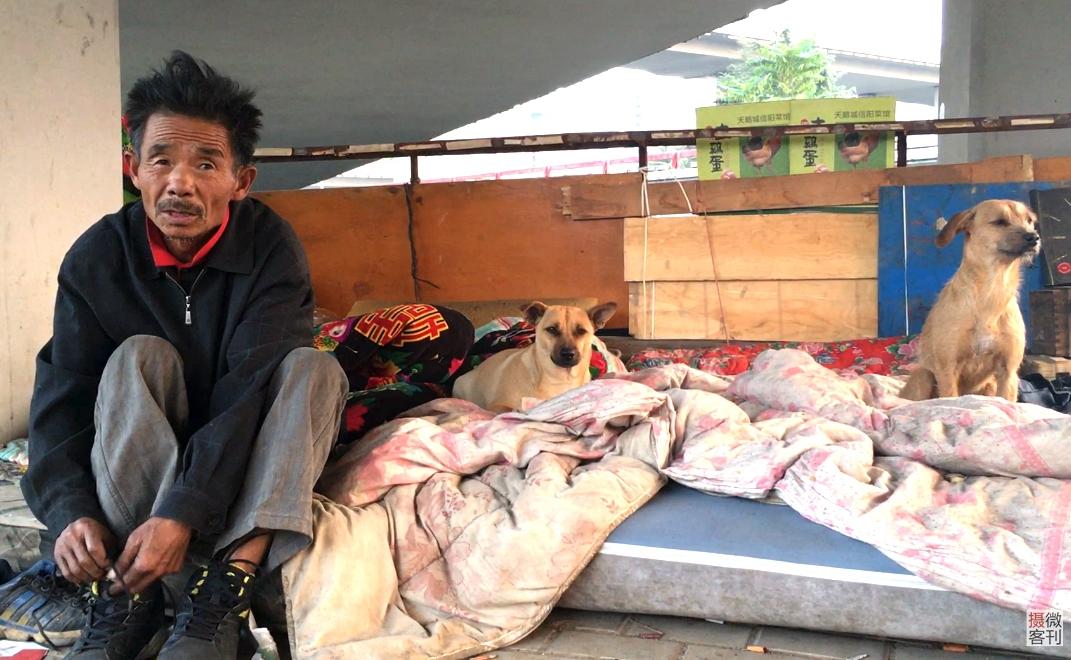 河南老汉27年露宿街头每天给流浪狗做两顿肉