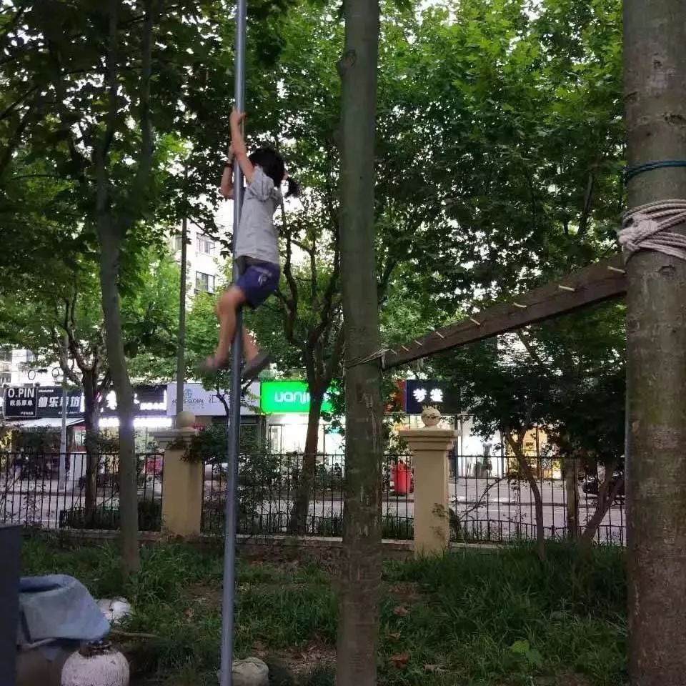 新闻客户端 她学会爬杆了,看到杆子就往上爬.