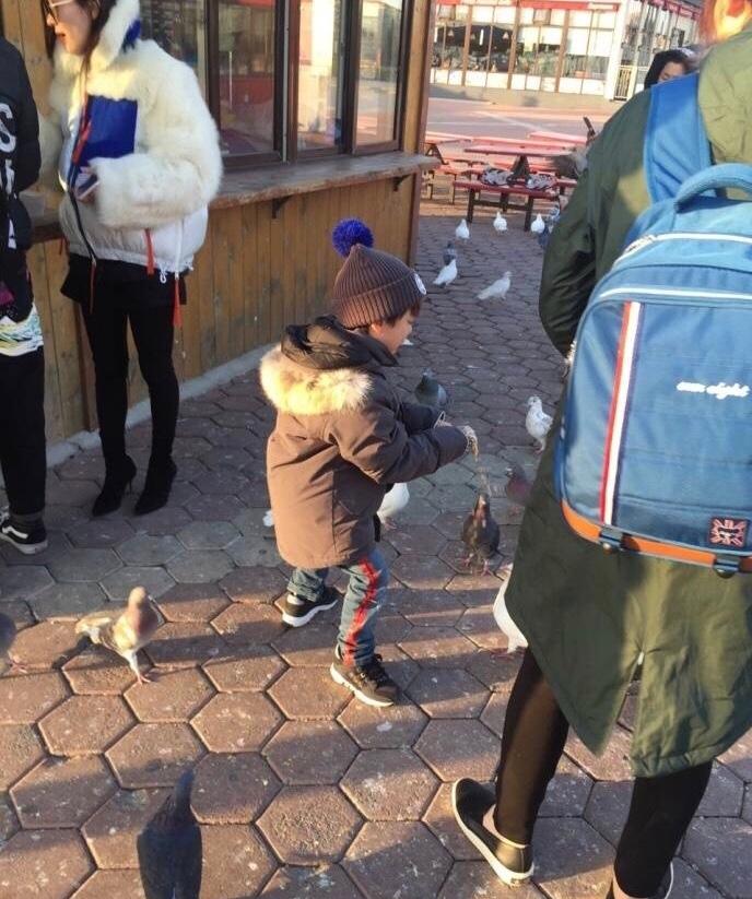 霍思燕带嗯哼现身大连捞金 网友纷纷前去求偶遇