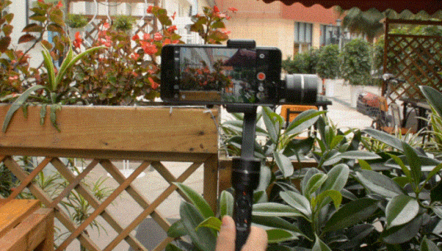 640_364gif 动态图 动图