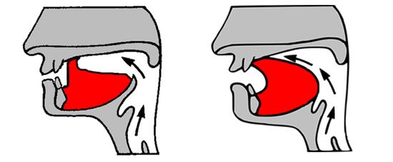卷舌音(左)和齿龈音(右)的发音部位示意图 / wikipedia