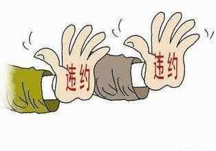 比月火焚心更肉_杜丽虹 月供收入比(2)