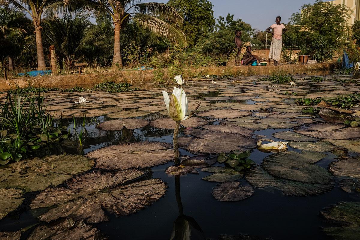 尼日河水位下降30%,20年前可以抓十几斤鱼,现在只能抓几条