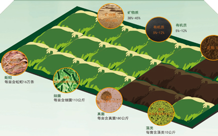 微生物具有多种多样的生命活动类型,而且繁殖速度特别快,因而它们在