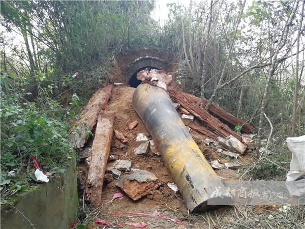 村民迁祖坟发现3斤重血灵芝专家食用要谨慎