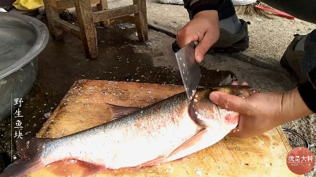 河里捕捉的野生鲢鱼做出来的炸鱼块味道超级棒