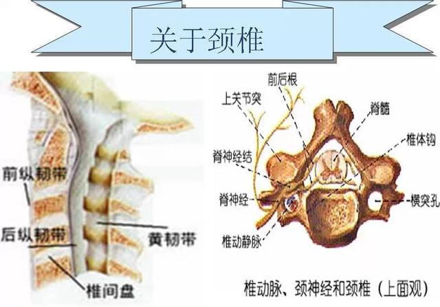 颈椎病不好治?民间常用3个偏方,半个月治愈脖子酸痛,手臂麻木