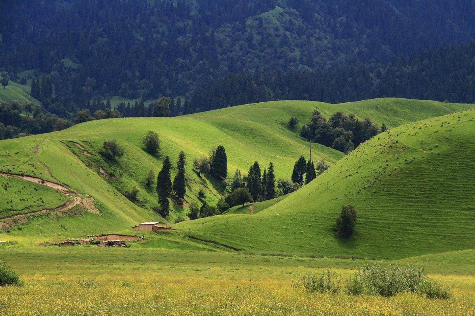 我只想在《海上牧云记》里领盒饭,当个瀚州人!