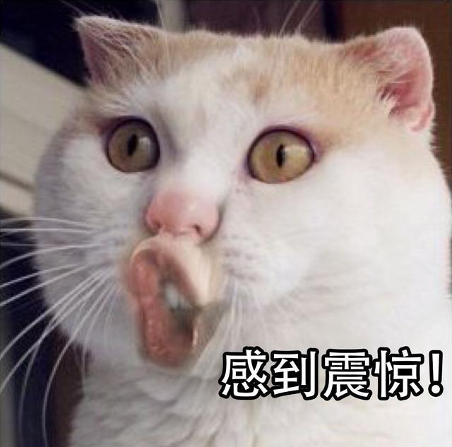2018 房价不涨房租涨 楼市韭菜赶快逃 ——凤凰网房产西安