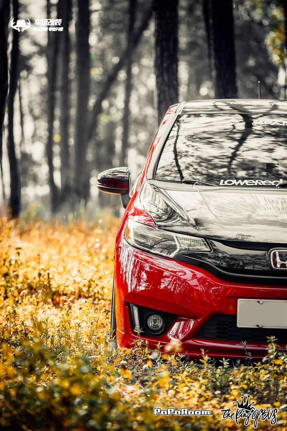 这样的gk5让人不得不爱