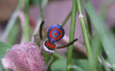 400_250gif 动态图 动图