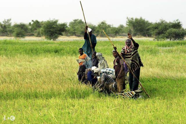 非洲:臣妾做不到啊!