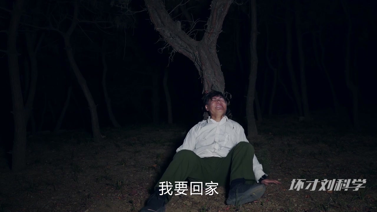 坏才刘科学2017年合集第31期