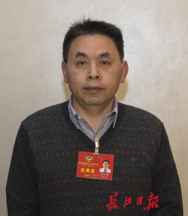 市政协委员,协和江北医院院长陈立波记者周迪 摄