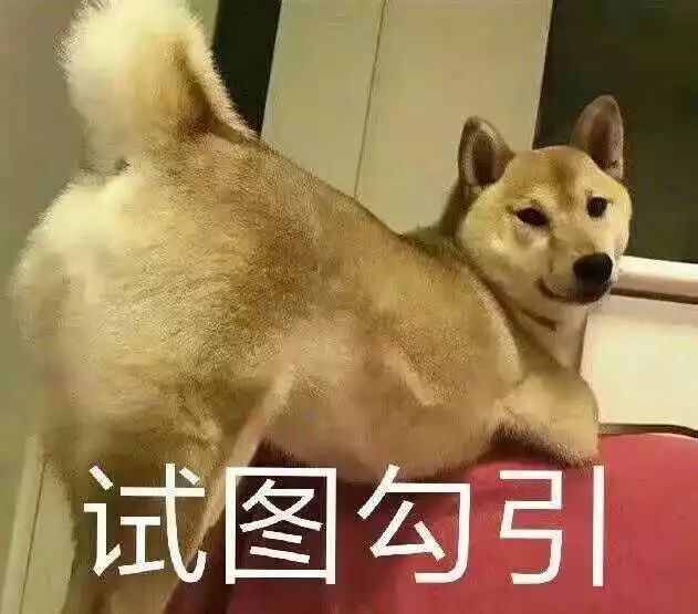 不知道你们怎么想反正文字君看到「大匣蟹」的时候是有点不淡定的这是