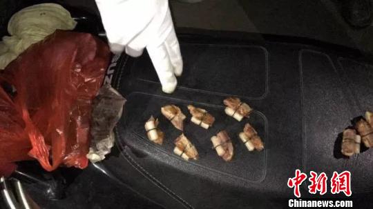 浙江海宁警方摧毁一毒狗团伙四名嫌犯落网图