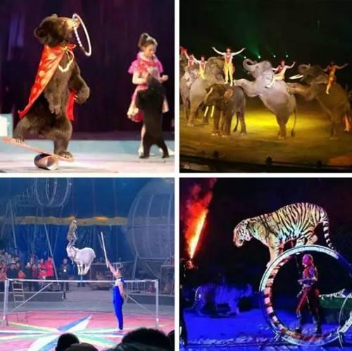 超视觉感官灯光嘉年华、吃喝玩乐应有尽有，巩义“长寿山灯光嘉年华”即将开幕
