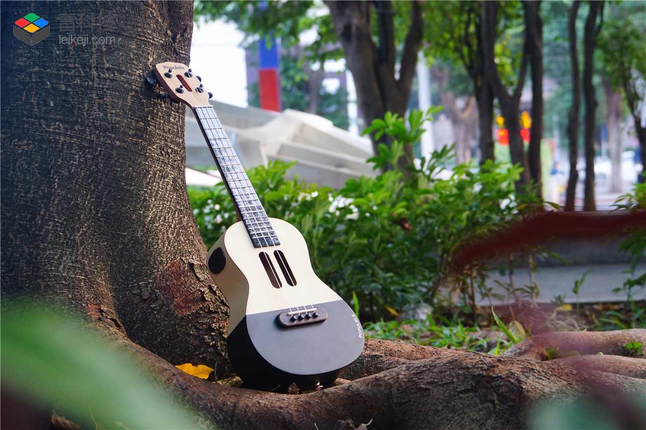 雷军,周杰伦,陈奕迅都捧过,5 天就能学会的小吉他竟如此厉害!