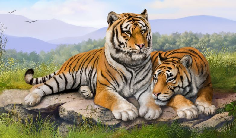 生肖虎,明年运势如何呢,财运可以提升!__凤凰网