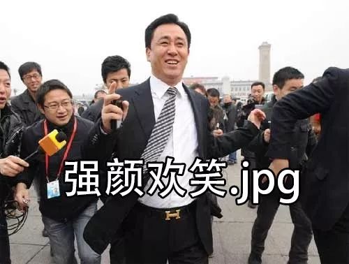 马云刘强东许家印注意雷军来了小心着点