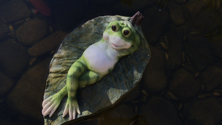 湖13镇苏浙皖的绿肺