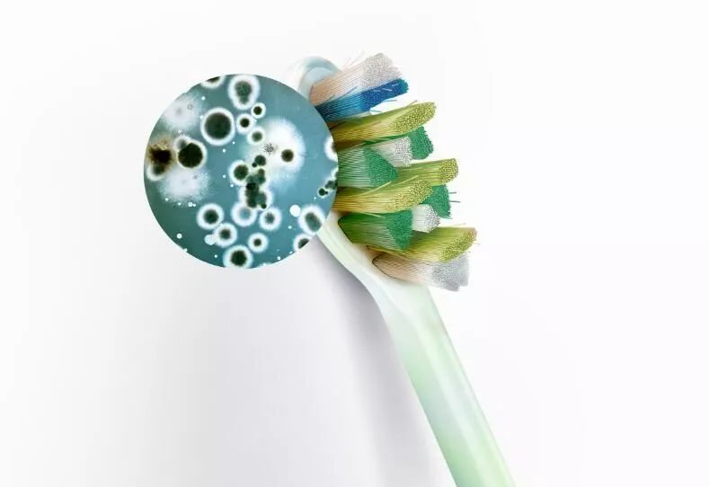 比马桶水还要脏牙刷细菌数量竟达上百万用这个方法消毒最有效