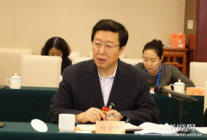 河北省政协十二届一次会议各界别委员分组讨论省政府工作报告