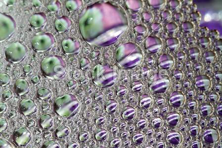 乳状液主要分有两种类型:一类是油分散在水中,如牛奶,简称水包油