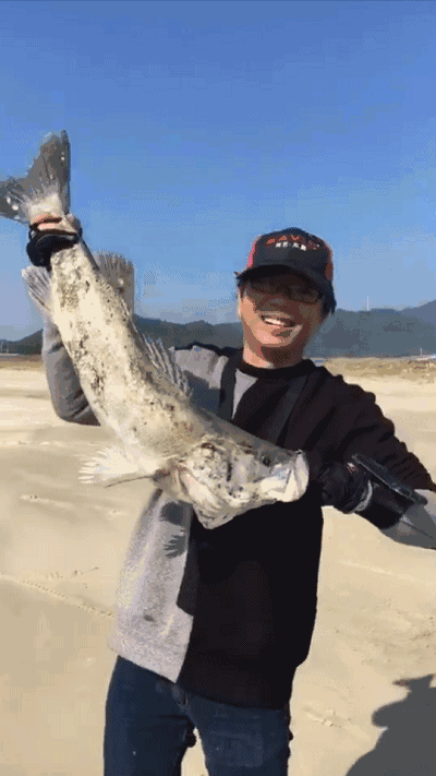 400_711竖版 竖屏gif 动态图 动图