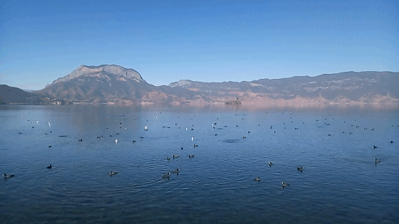 560_315gif 动态图 动图