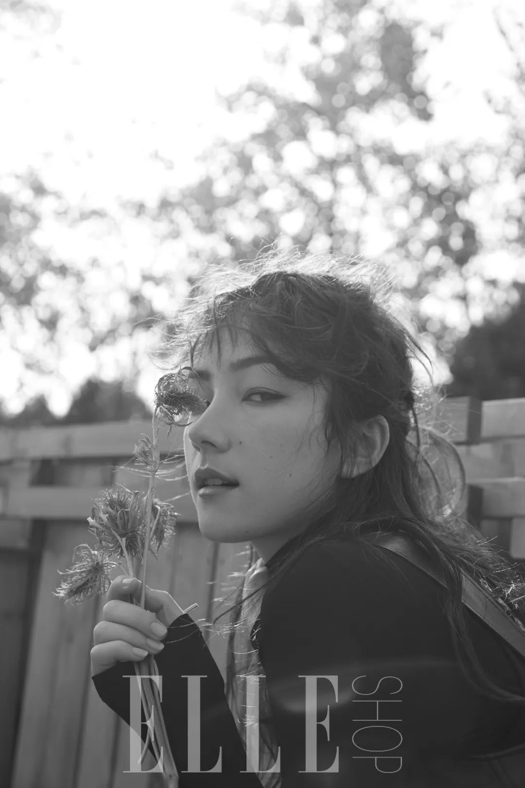 的刘承羽,大学期间,机缘巧合之下,合作杨紫琼,甄子丹出演《卧虎藏龙