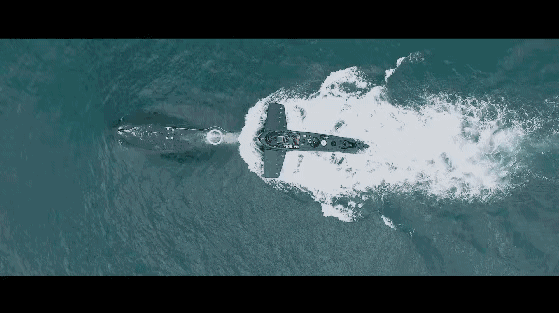 560_314gif 动态图 动图