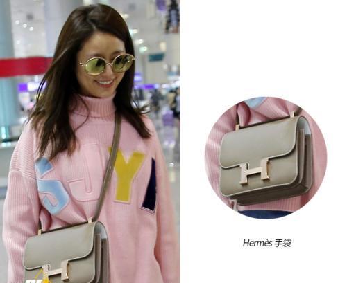 太壕了林心如用爱马仕装小狗挂个毛球都要七千多